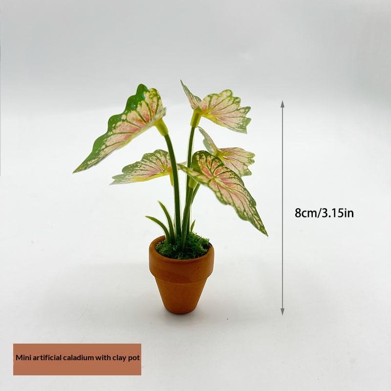 

1Pcs Miniature Scandinavian Style Decoration Dollhouse Green Plants Mini Taro Turtle Back Green Potted Plants Props Model as the picture