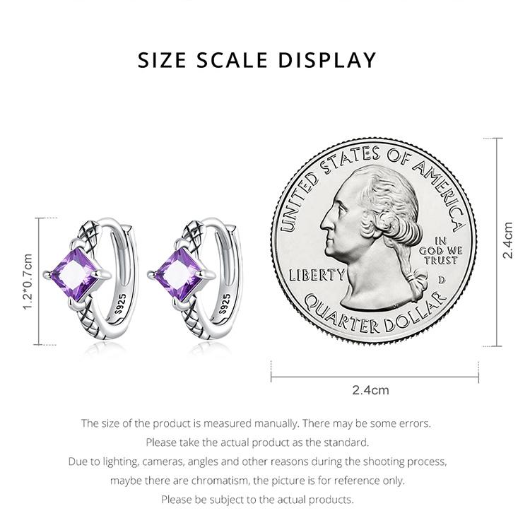 BAMOER 925 Sterling Silver Purple Zirconium Snake Pattern Ear Buckles for Women Fine Jewelry Luxury Brand Earrings Gift