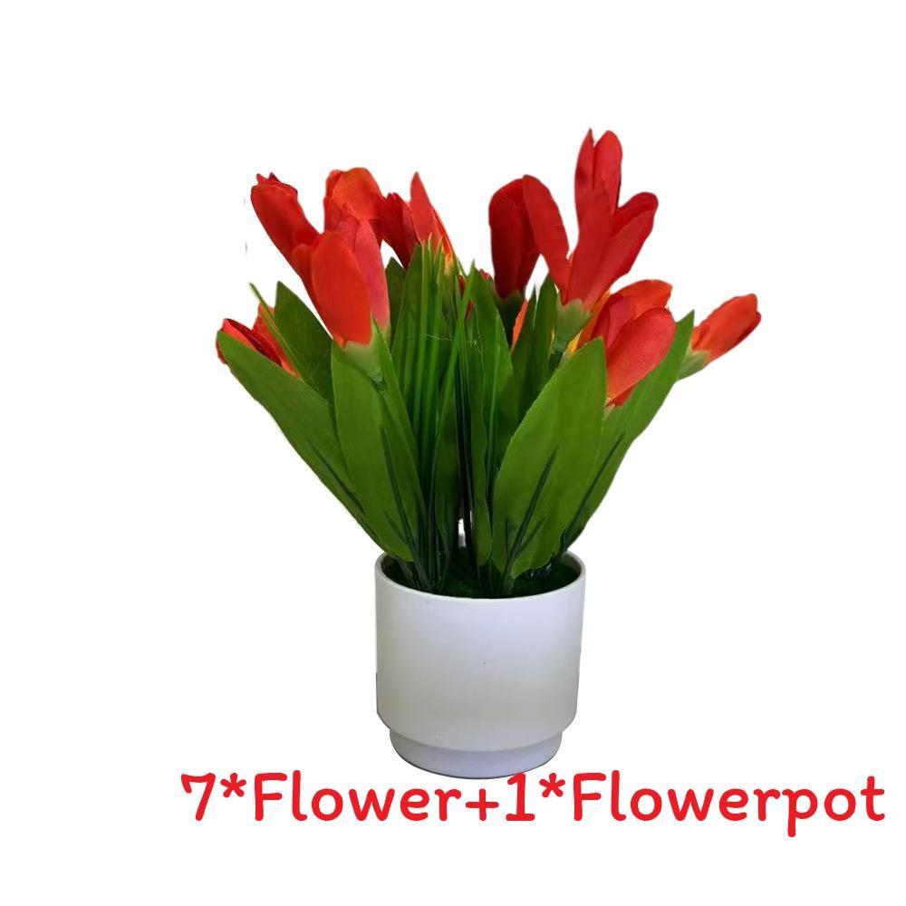 

Tulip Miniature Potted Flower For Romantic Celebrations And Photography Prop Applications Bright Red