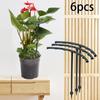6Pcs Plant Support Stakes Cages Fruit Rack Supporting Holder Garden Tools for Clivia Patio