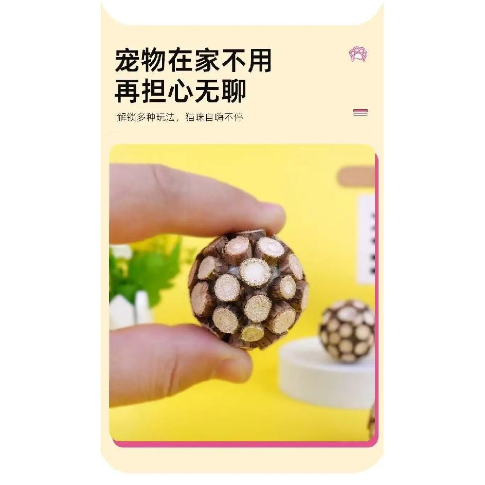New Cat Toy, Silver Vine & Matatabi Fruit Feather Teaser Wand with Bell Replacement Head, Pet Supplies