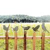 5 Iron Bird Decorations -Fence Branch Garden Wall Yard Ornaments, Paintable Birds for Outdoor Placement with Natural Rust Finish