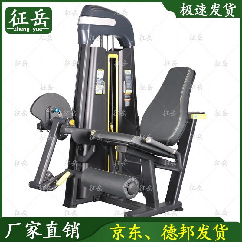 Zhengyue Commercial Grade Strength Training Machines