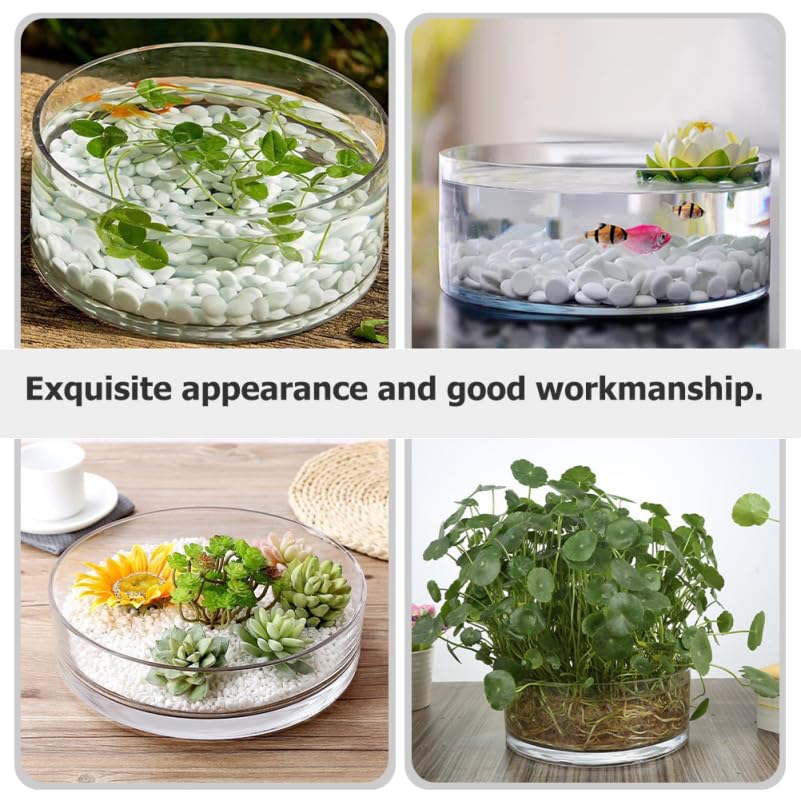 HANABASS Round Glass Terrarium Vase, Transparent Galantar for Hydroponic Cultivation, 3.15" Diameter, 5.91" Height, Interior Decor, for Succulents