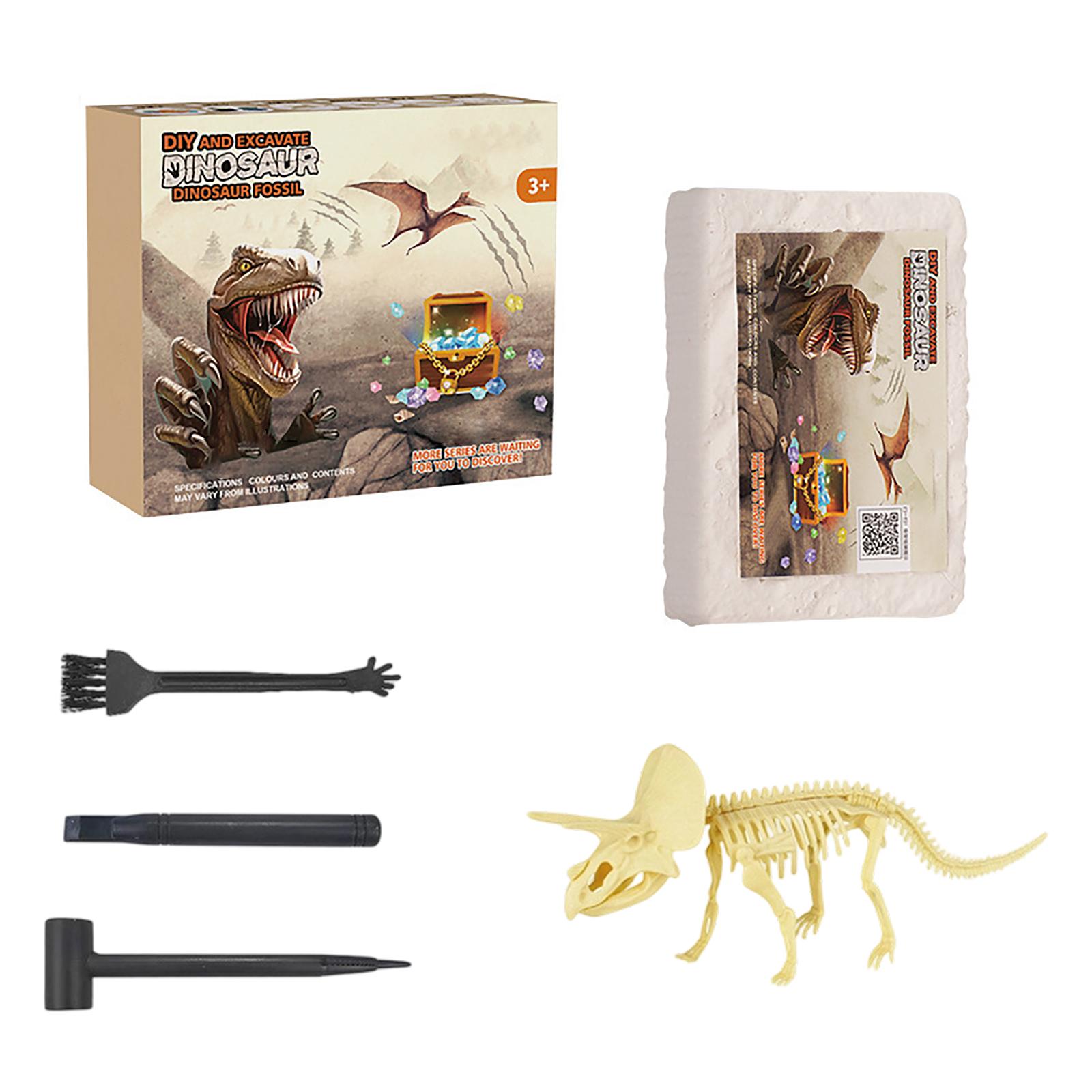 DIY Dinosaur Fossil Excavation Kit for Kids Educational Archaeology Toy Includes Dinosaur Skeleton Model and Excavation Tools for Hands On Learning One Size