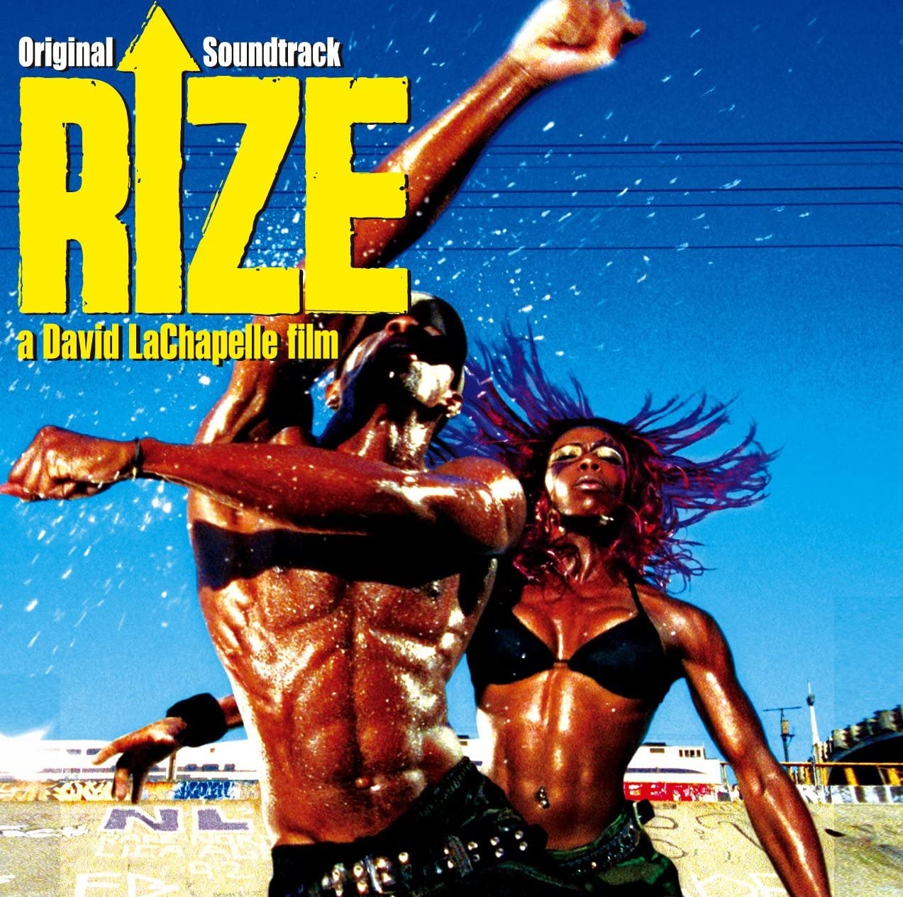 CD САУНДТРЕК FREE STYLES DUP PLAN RIZE оригинальный саундтрек DVD с AVCF22559 2005 Япония Саундтреки Мюзиклы Б/у
