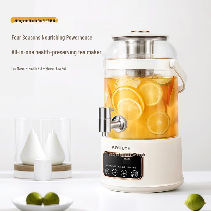 AIYOUTH Multifunctional Health Kettle with Dispenser