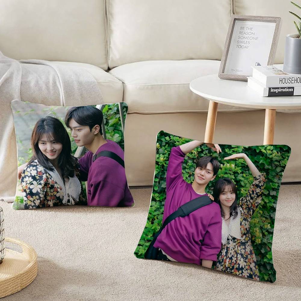 TV Series N-Nevertheless Pillow Case Home Decor Throw For Sofa Bed Car Room Decor Gift Idea