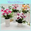 Butterfly Orchid Artificial Plant Indoor Decor With Plastic Material For Home Living Room Accent