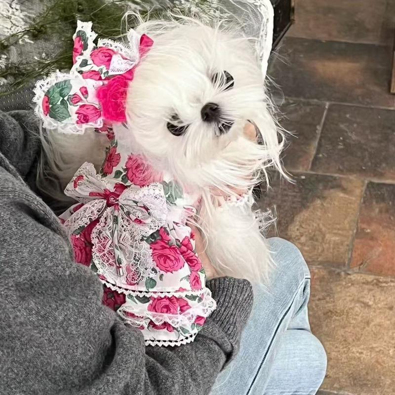 Spring/Summer Rose Dress Pet Cat Dog Yorkshire Maltese Dress Romantic