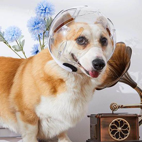 Pet Hood Anti-bite Breathable Adjustable Cat Muzzle Comfortable Transparent Cats Dogs Helmet Pet Supplies