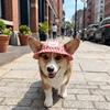 Breathable Dog Fisherman Hat Adjustable Dog Visor Hats Comfortable Cat Sunscreen Hat  Spring Summer