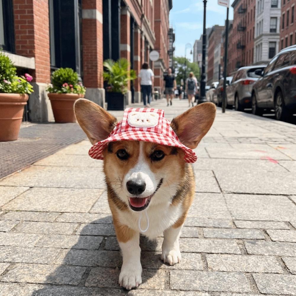 Breathable Dog Fisherman Hat Adjustable Dog Visor Hats Comfortable Cat Sunscreen Hat  Spring Summer