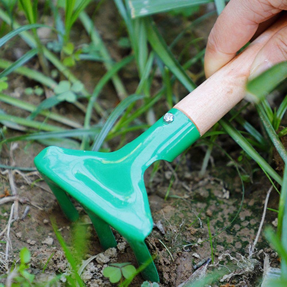 Juego de 3 Piezas de Herramientas de Jardinería de Metal con Mango de Madera Juego de Herramientas para Bonsái Juego de Palas de Plantación Suministros de Jardín