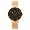 [Daniel Wellington] Women's Watch DW00100161 DW00600161 Black Rose Gold [Parallel Import]