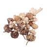 Wooden Parrot Chewing Toy Boredom Relieving Nuts Hanging Bird Foraging Chew Toy for Parrot Cage