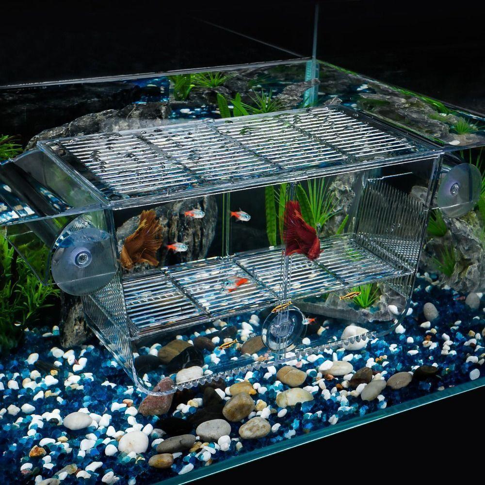 Multi Size Baby Fish Hatching Incubator Box Acrylic Betta Fish Tank Divider  Shrimp