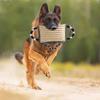Dog Bite Numbing Pillow Tug Toy Dog Training Tug Pillow Toy with Handles Dog Training Bite Pillow