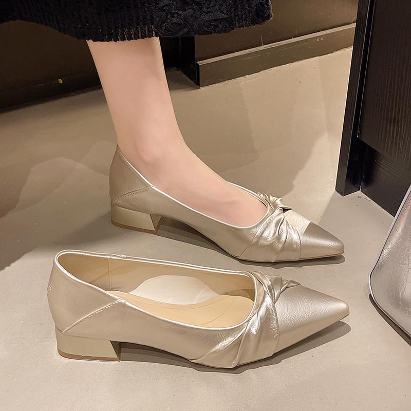 Fashion 2025 New French Elegant Pointed Toe Low Heel Women's Singles