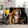 Cartoon French Pit Bull Dog Pet 3D Blanket,Soft Throw Blanket for Home Bedroom Bed Sofa Picnic Travel Office Cover Blanket Kids