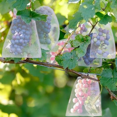50 Stück Fruchtschutzbeutel Atmungsaktiv Transparent Einfach zu installieren Kordelzug Netz Tomatenschutzbeutel Schädlingsbarriere Netzabdeckungen