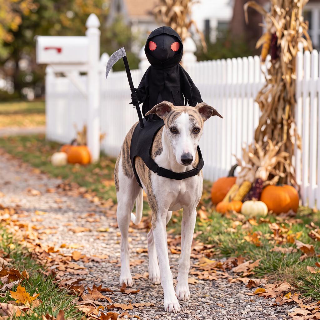 Halloween Dog Rider Costume Grim Reaper Dark Outfit Adjustable Chest Strap Accessory for Small Medium Large Pets