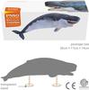 PNSO Growth Series 56 Leviathan Melvillei Libyatan Sperm Whale Family Leviathan Marine Animal Realistic Figure PVC Toy Model Dinosaur Lover Birthday