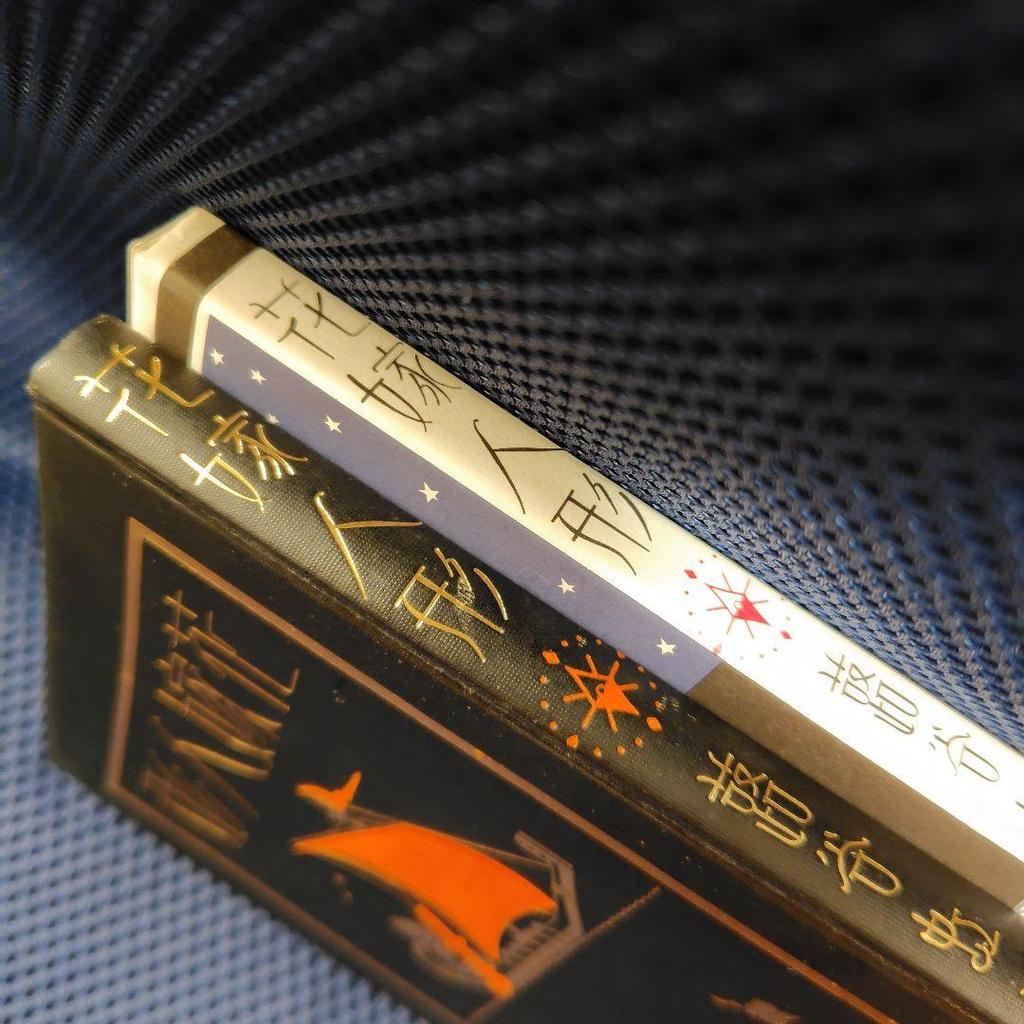 [USED] Bride Doll: A collection of lyric poems and paintings by Koji Fukiya