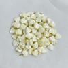 5Pcs, White Natural Shell Pendant With Gold Color Buckle, Fashion Handmade Heart Charms for Jewelry Making DIY Necklace Earring Accessories, 15×15mm