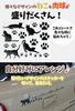 Prendre PR-3DCAT-BK 3D Sticker Cat Paw Car Sticker Accessory Cat Car Suitcase Scratches Hidden Cute Cat Sticker 3D Sticker (Black)