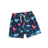 Children's Dinosaur Print Quick-Dry Swim Trunks - Toddler & Boys' Cute Flat-Leg Shorts