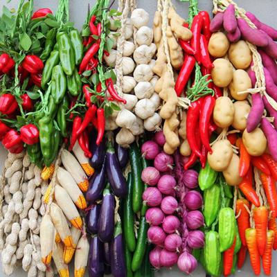 Artificial Vegetables String Simulated Vegetable Garland Realistic Decorative Fake Veggies for Home Farm Party Wall Decoration Photography Props