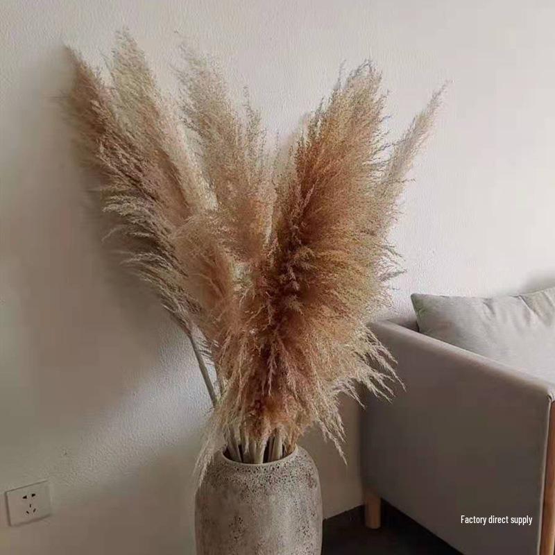 Extra Large Preserved Pampas Grass Bouquet for Nordic Style Decor
