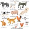 Mini Animal Growth Cycle Toys: Butterfly, Rooster, Ant, Frog, Sea Turtle, Dragonfly