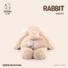 Peluche Lapin Mignon 35CM Oreilles Longues Lapin de Pâques Peluches Douces Poupée Décor Chambre à Coucher Anniversaire Filles Cadeaux Enfants