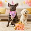 Adjustable Pet Birthday Caps Cute Dog Birthday Bib Dog Dress Up Dog Birthday Hat Set  for Dogs Cats