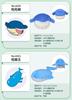Pokemon Fit Sharpedo & Wailmer & Wailord Plush Toy Stuffed Doll