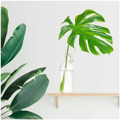 [Q6536] - Green 'Jungle Tropical' Sticker Sheet (monstera Tropical Leaf In Bottle) - 50x70 Cm
