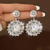 Light Luxury French Zircon Pearl Earrings Niche Design Sense Exaggerated Stud Earrings Sense Fashion Earrings Women