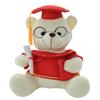 Dr Gift Graduation Teddy Bear Plush Toy Cartoon Stuffed Doll Decoration Gift