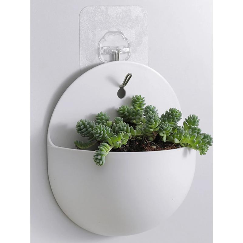 Hydroponics Wall Vase Green Dill Planter Basket Planter Home Garden Decorations