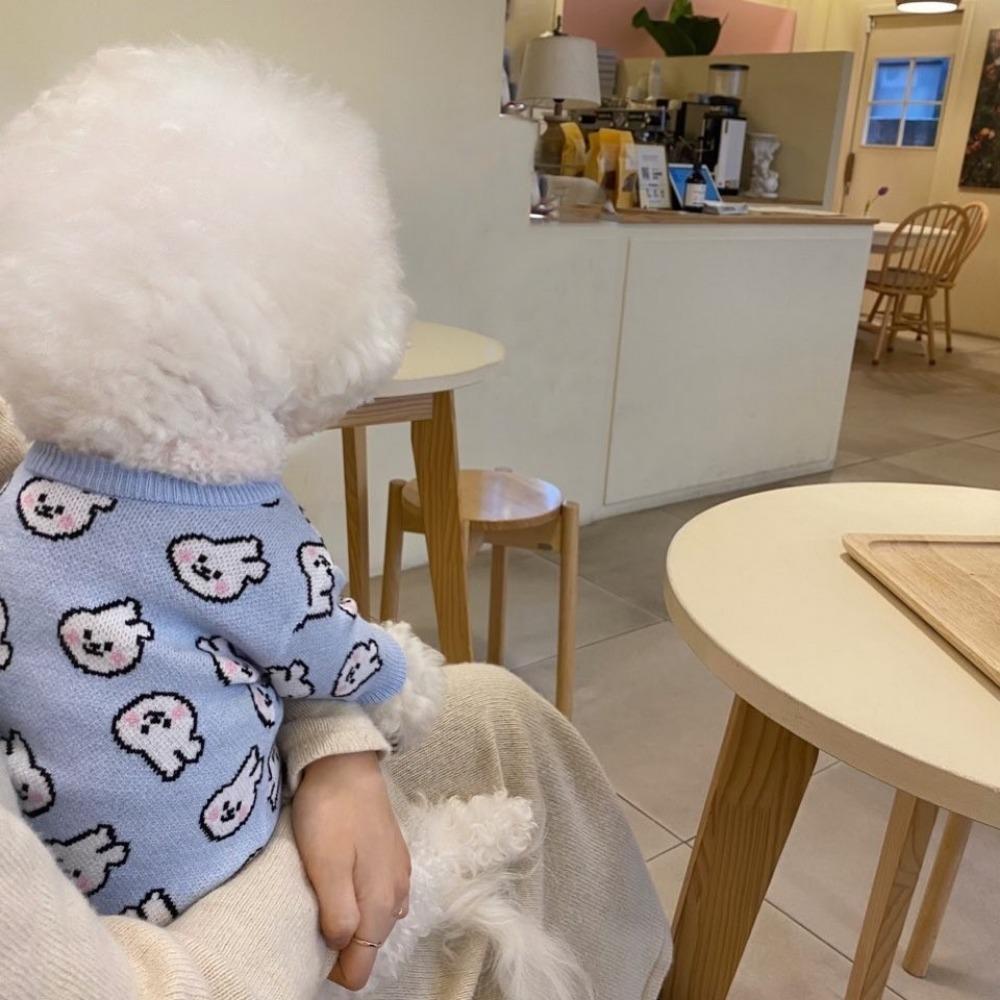 Autumn and Winter Colored Letters Small and Medium Dogs Bigbear Teddy Warm Puppy Dog Knitted Sweater Cat Pet Clothes