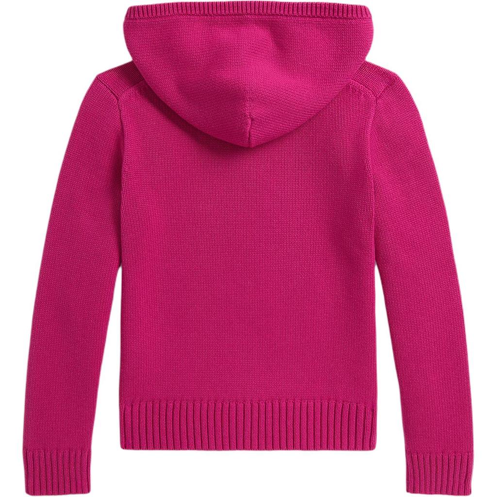 Polo Ralph Lauren Cotton Hooded Knit Sweater Kids sweaters 313978880-001