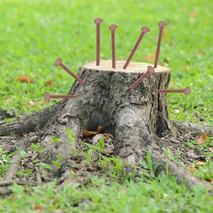 15Pcs Copper Nails for Killing Trees Stump Removal Spikes Tree Stump Killers for Killing Trees Stump Root Enduring