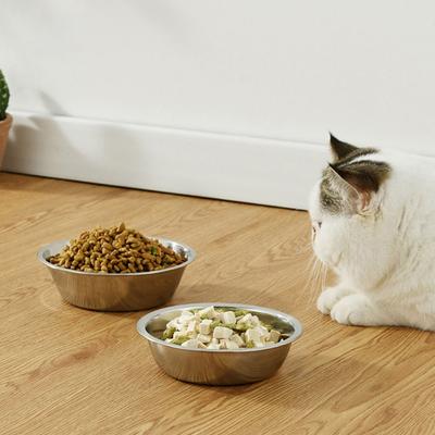 Köpek – Köpek Besleme ve Sulama Malzemeleri