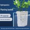 Aquatic Plant Basket: Wall-Mounted Hydroponic Cup for Fish Tanks - "Little Peng Says" Décor Accessory