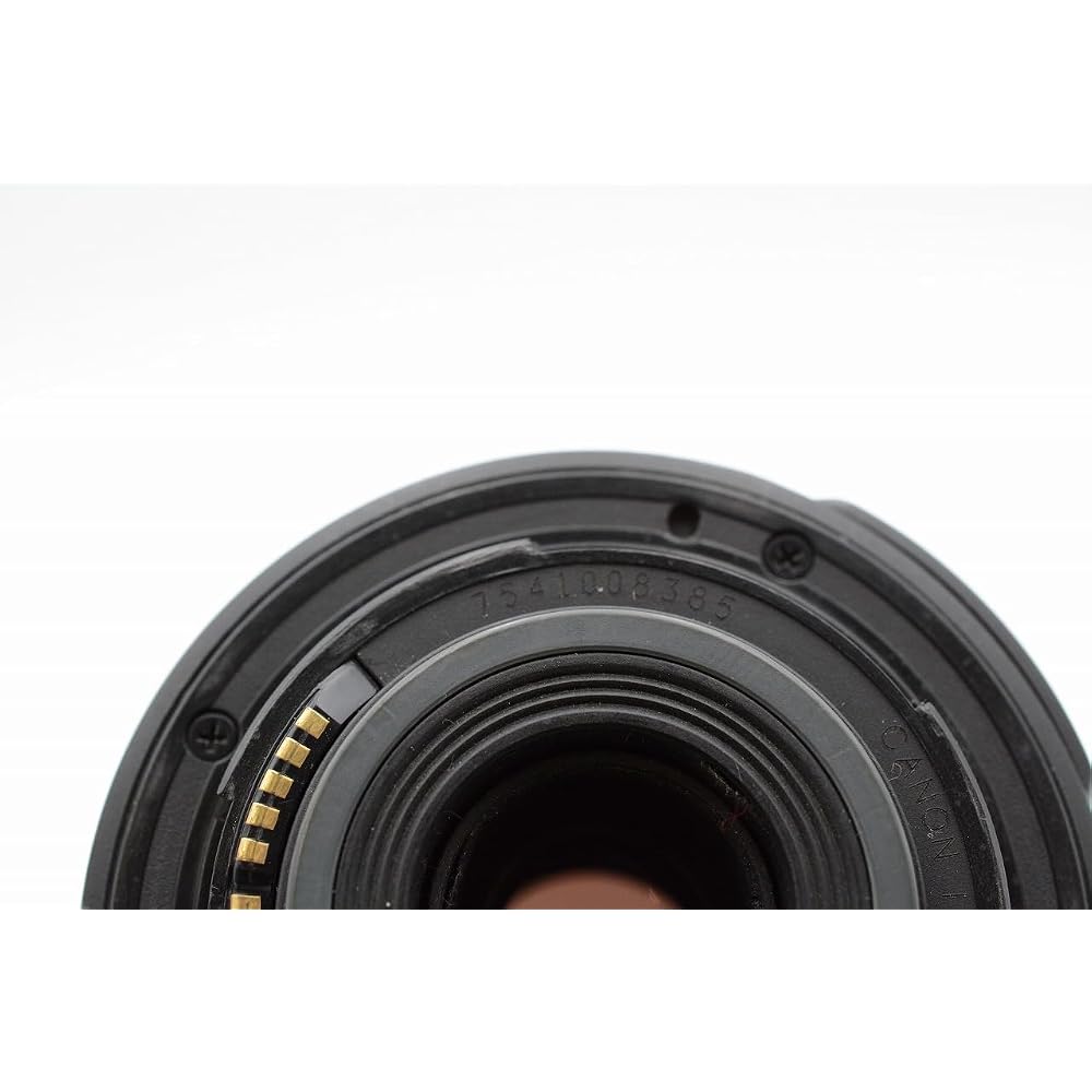 Canon EF-S55-250mm F4-5.6 IS Telephoto Lens, Compatible with APS-C Sensors.