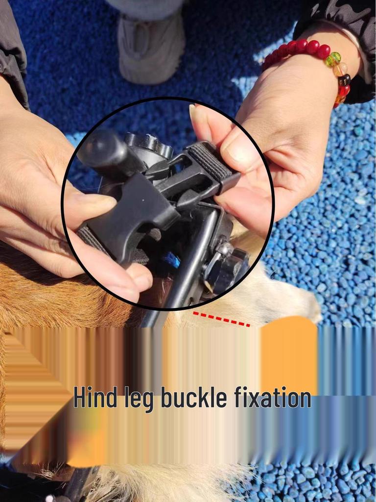 Pet Wheelchair: Rehabilitation Walking Aid & Booster Scooter for Dogs