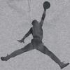 Air Jordan Jumpman Logo Printing Knit Short Pant Male Grey Men's DD2324-091