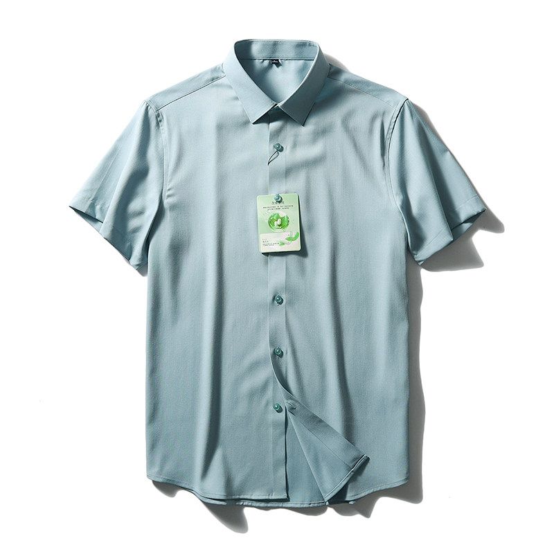 Mulberry Silk Short Sleeve Shirt Men's Summer Ice Silk 2024 New Coat Export Export Men's Clothing Business Casual Shirt